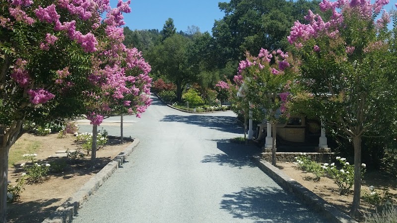 Bremer Family Winery photo 3