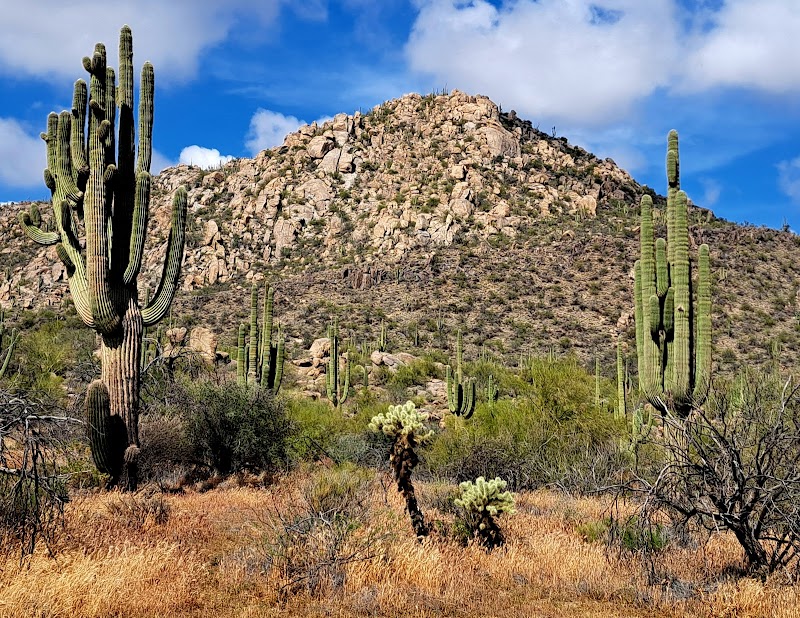 Photo of Granite Mountain Trailhead
