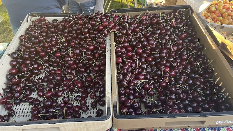 Dublin Farmers' Market photo 3