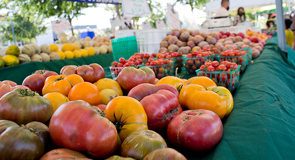 Dublin Farmers' Market photo 4