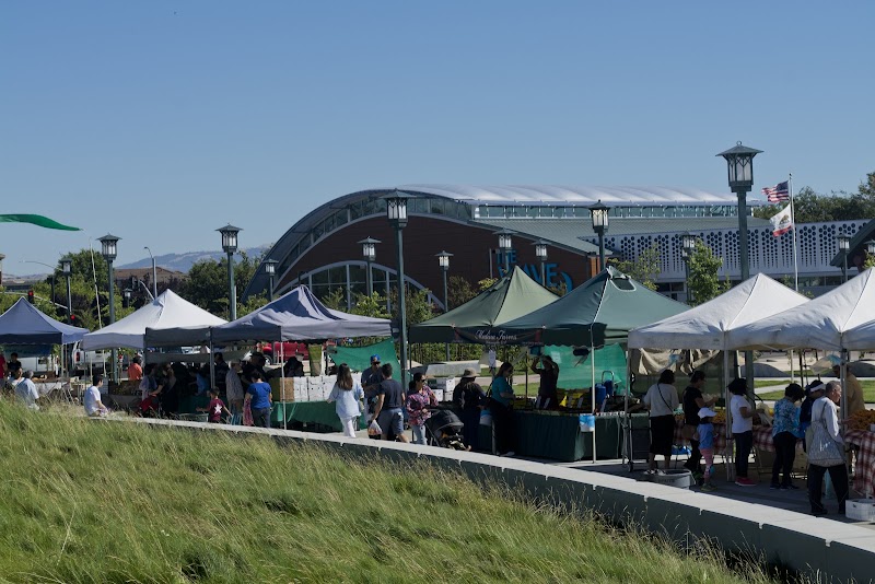 Dublin Farmers' Market photo 5