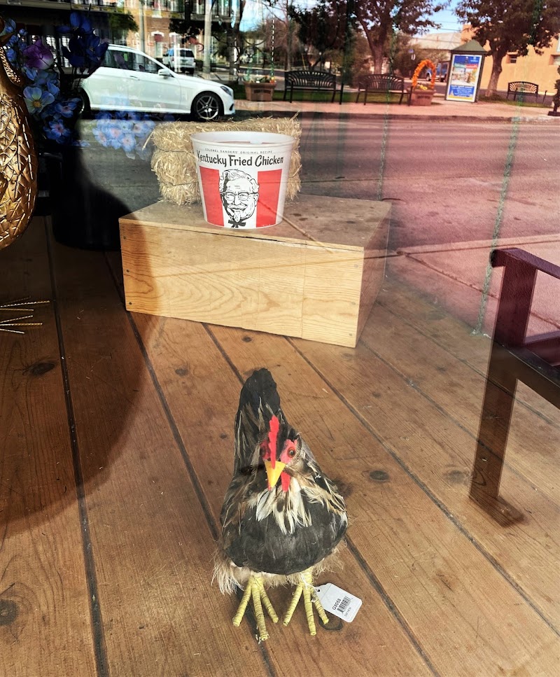 Ruggiero's Ace Hardware - Florence photo 2