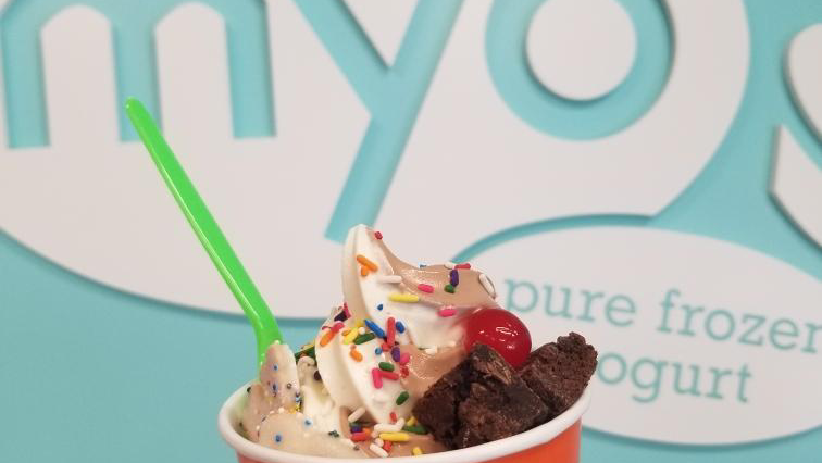 MYO Frozen Yogurt photo 2