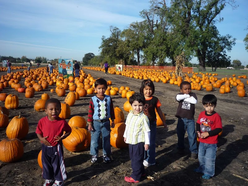 Love the kidz daycare preschool photo 5