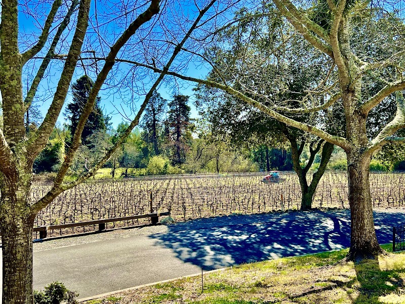 Bartholomew Estate Winery photo 5