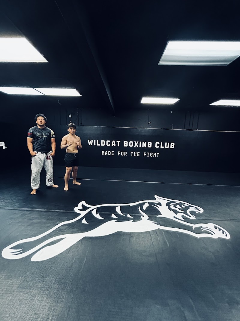Photo of Wildcat Boxing Club