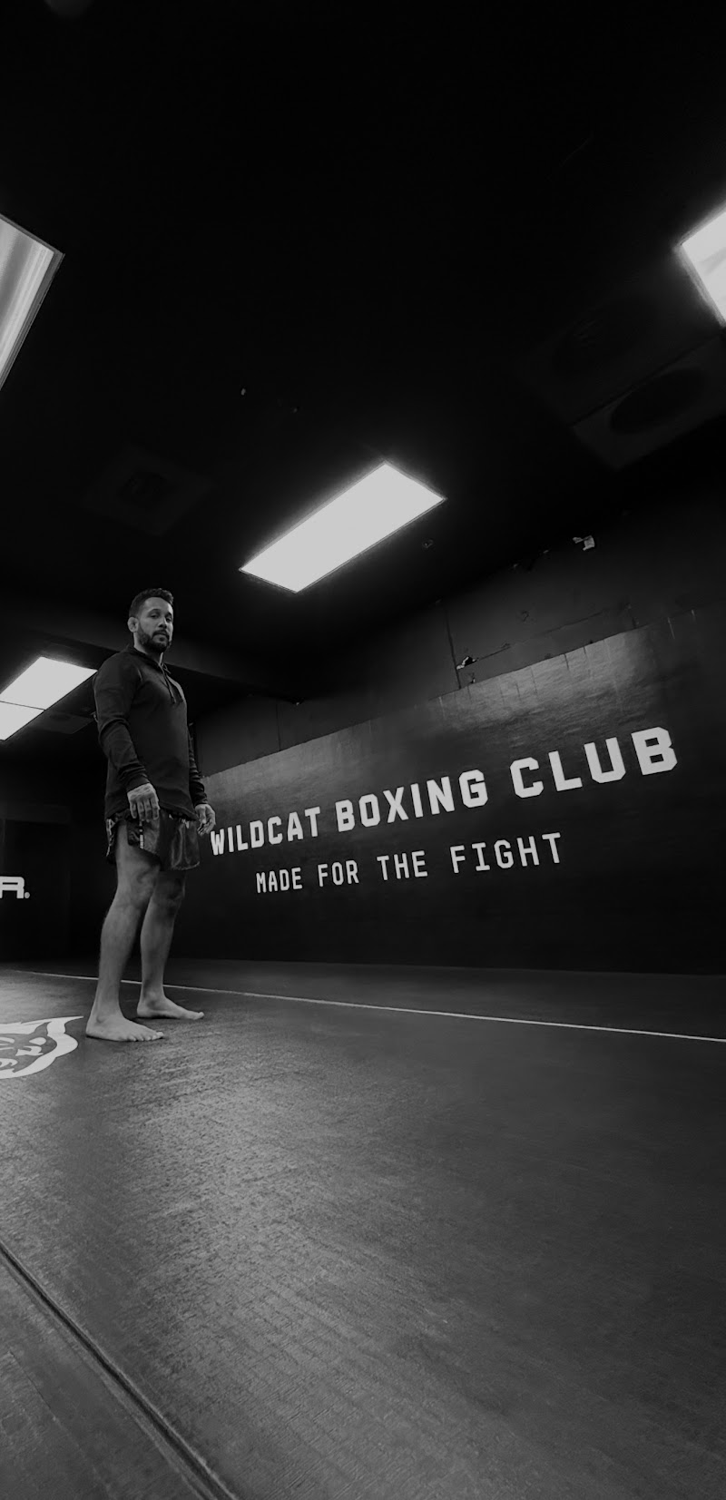 Wildcat Boxing Club photo 3