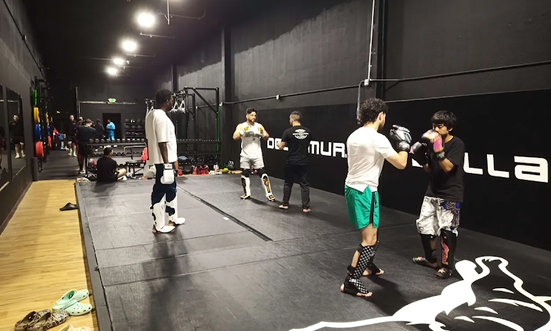 Wildcat Boxing Club photo 2