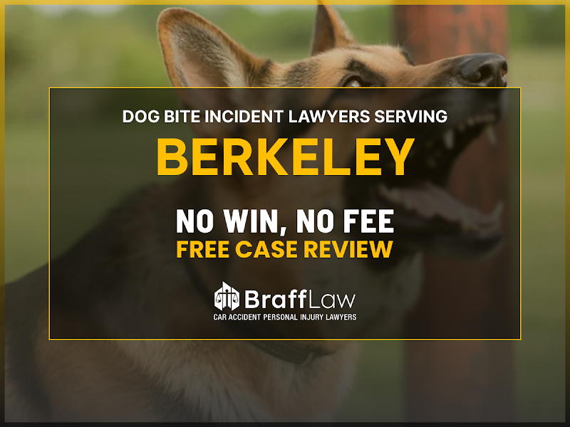 Braff Law Car Accident Personal Injury Lawyers photo 4