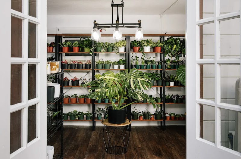 Photo of Aquarian Plants