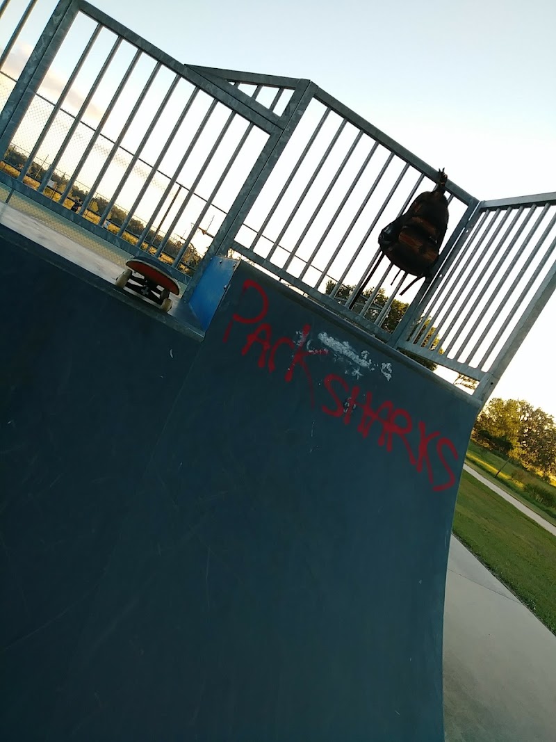Bushnell Skatepark photo 3