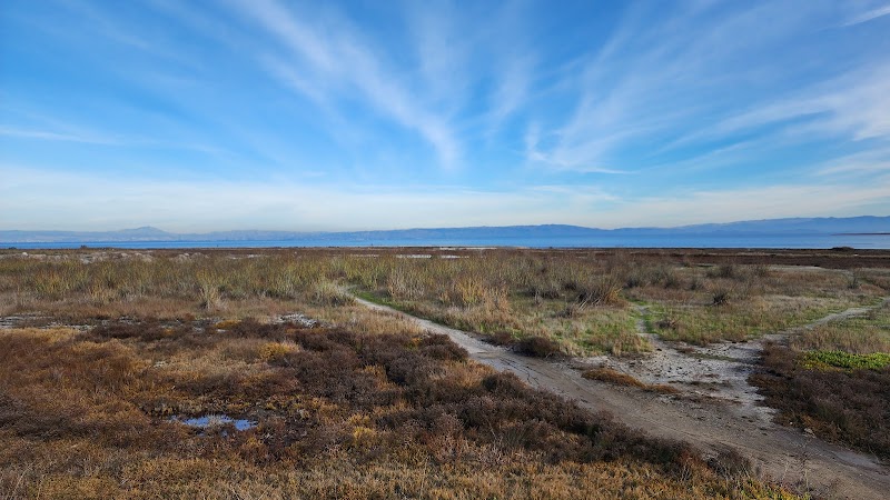 Shorebird Park photo 3