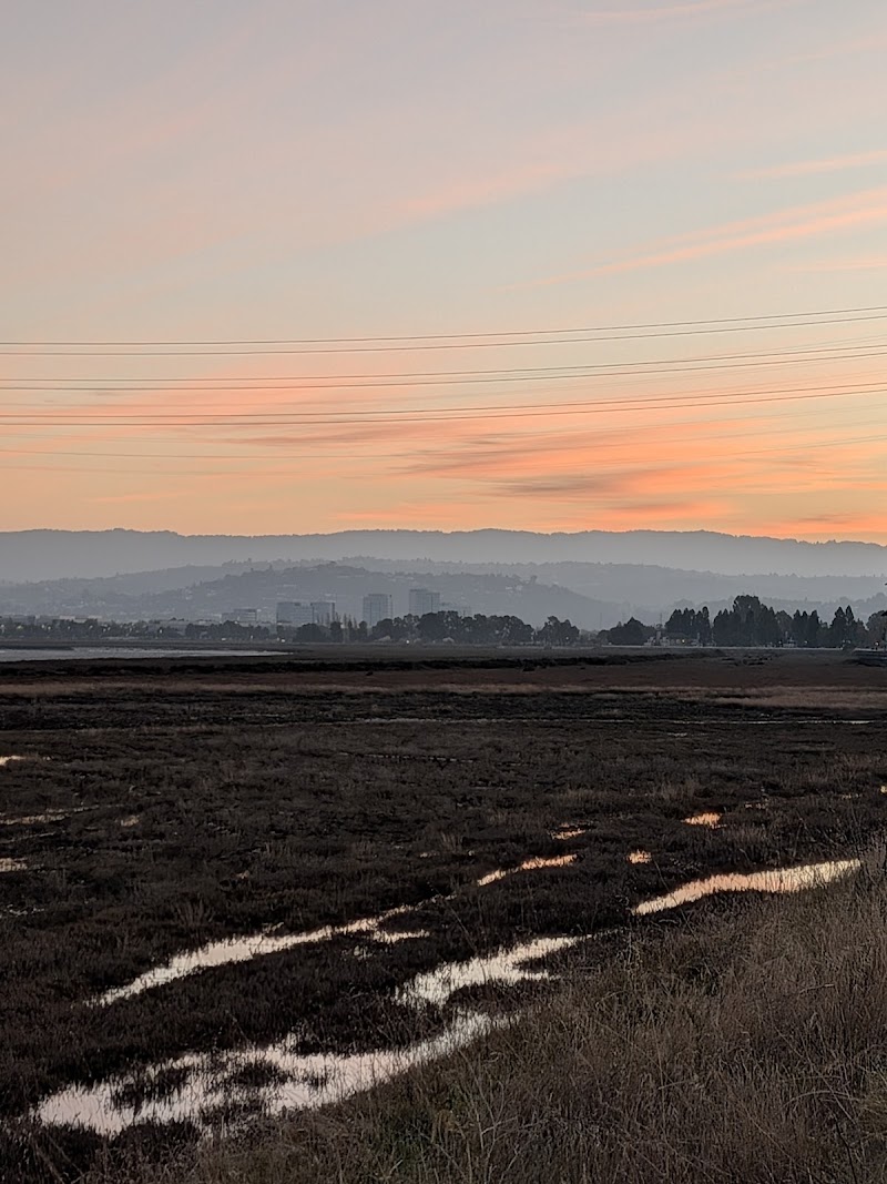 Shorebird Park photo 4
