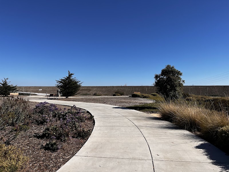 Shorebird Park photo 2