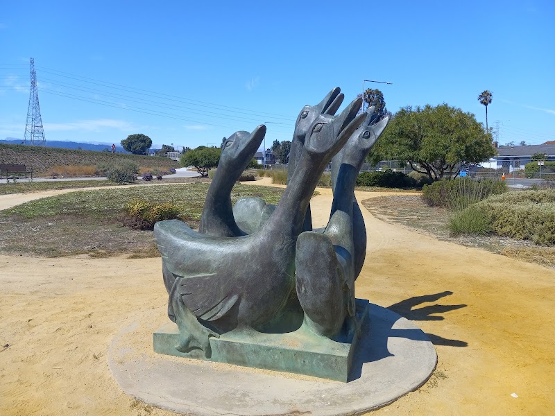 Shorebird Park photo 5