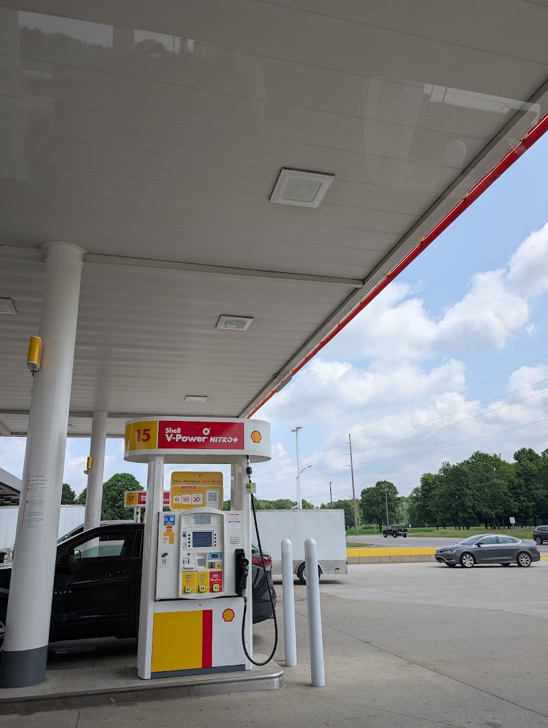 Shell photo 2