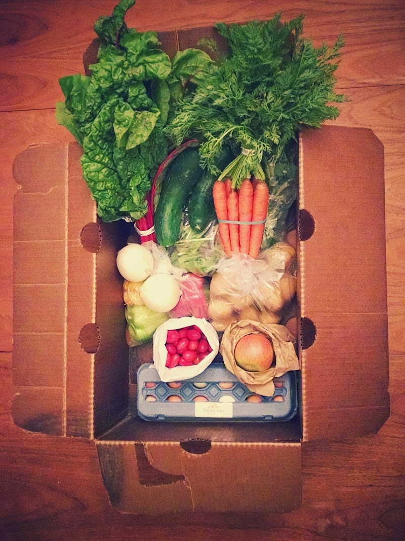 Greenhearts Family Farm CSA photo 5