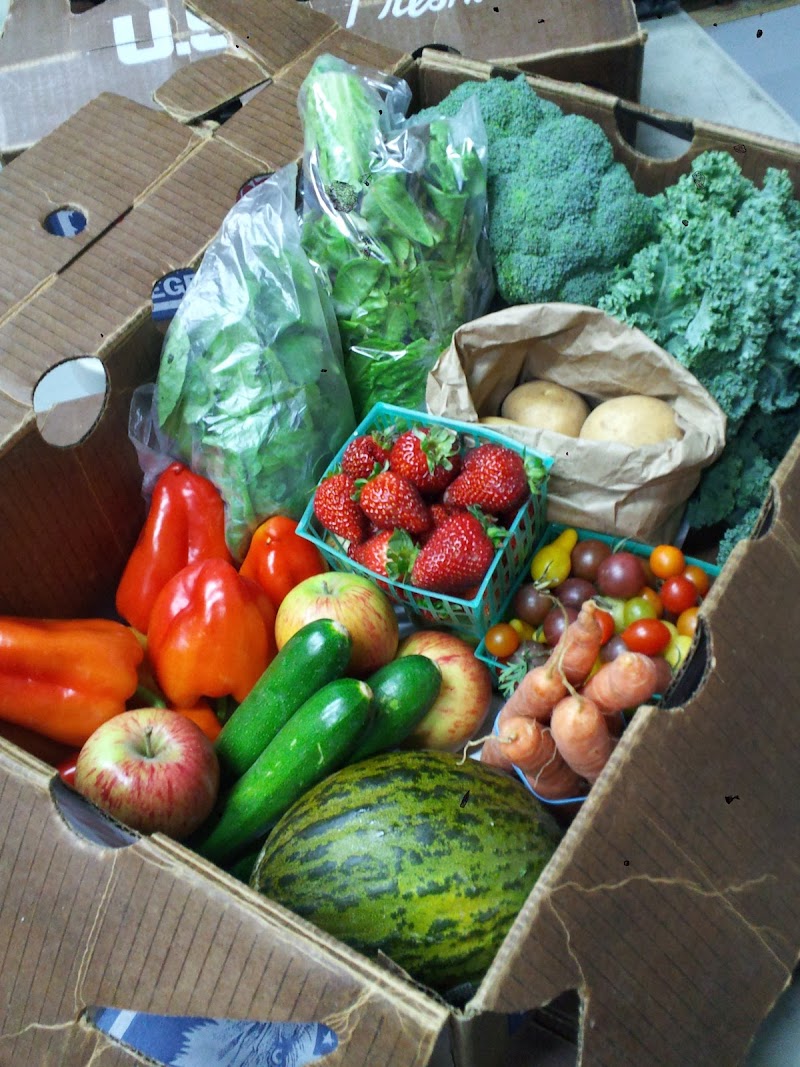 Photo of Greenhearts Family Farm CSA