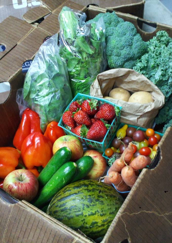 Greenhearts Family Farm CSA photo 3