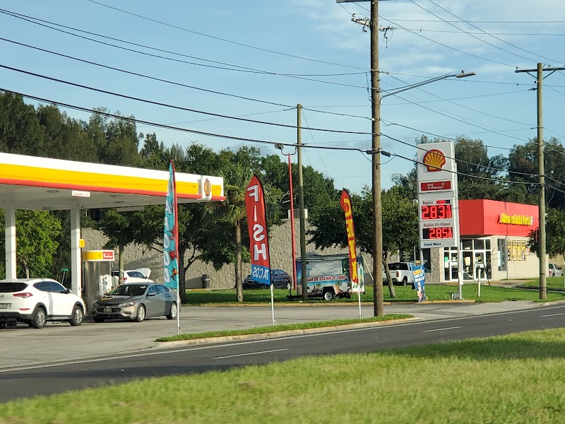 Shell photo 5