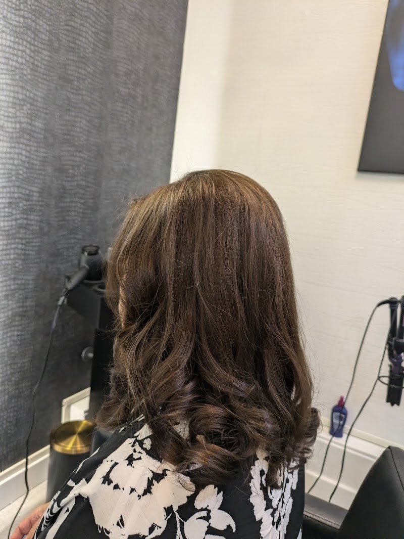 Elegant Hair Designs photo 3