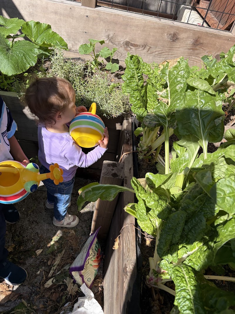 Photo of Victoria's Day Care INC. Day Care Service in San Rafael