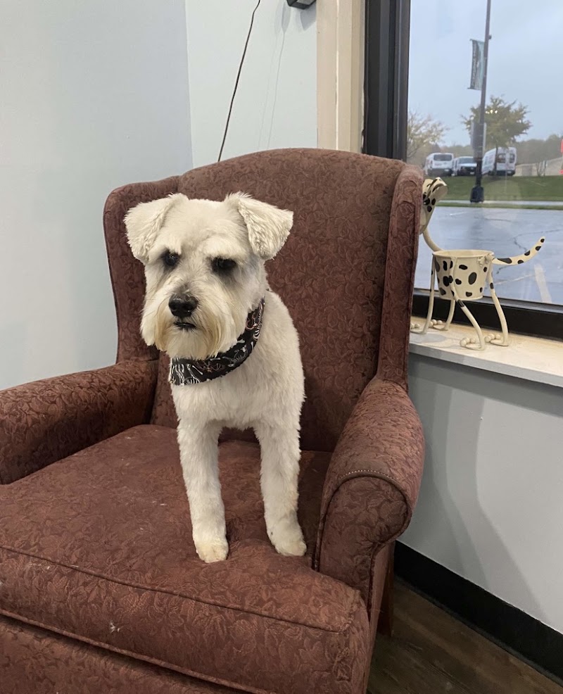 Salty Paws Pet Salon LLC photo 3