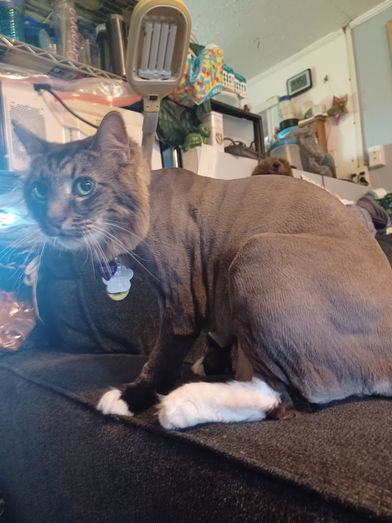Salty Paws Pet Salon LLC photo 5