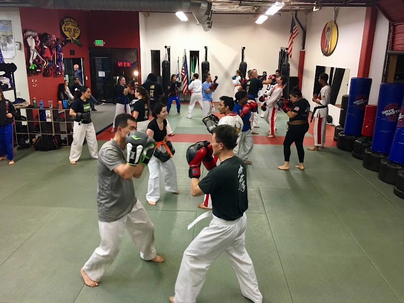 World Martial Arts Palo Alto photo 3