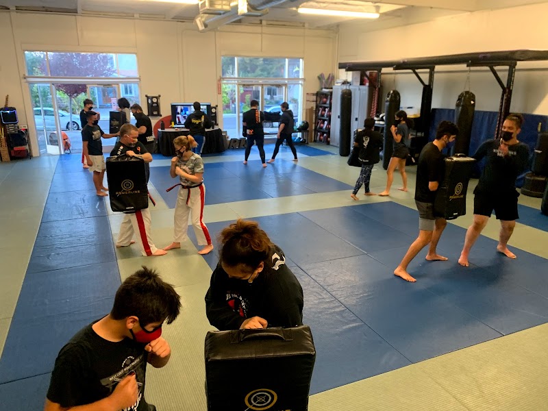 World Martial Arts Palo Alto photo 4