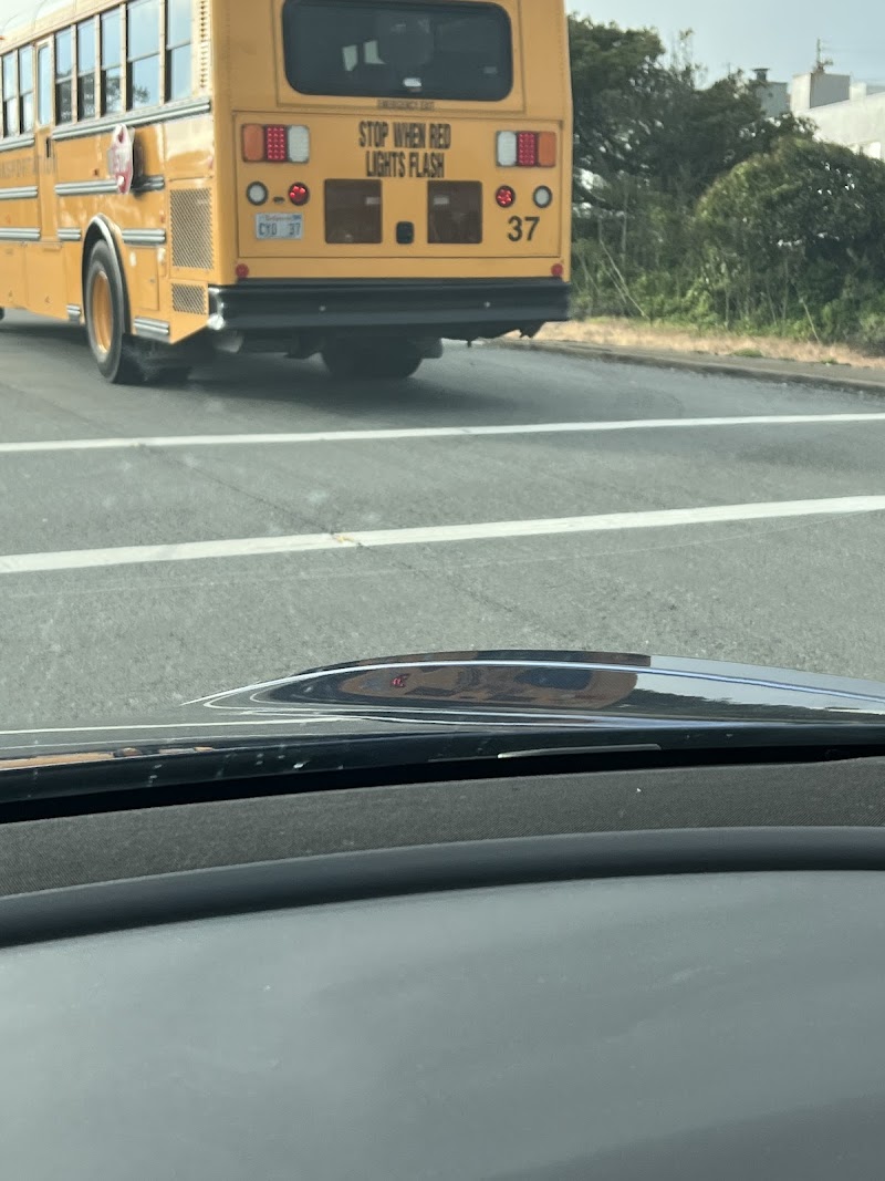 CYO Transportation photo 4