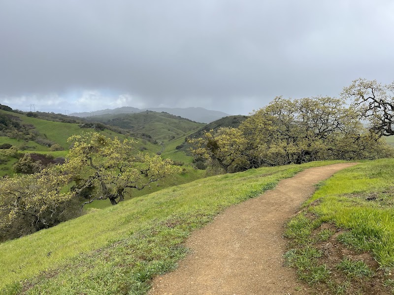 Coyote Valley Open Space Preserve photo 2