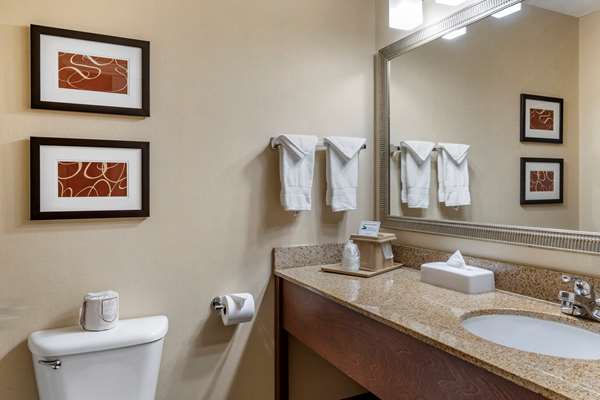 Comfort Suites Linn County Fairground and Expo photo 3