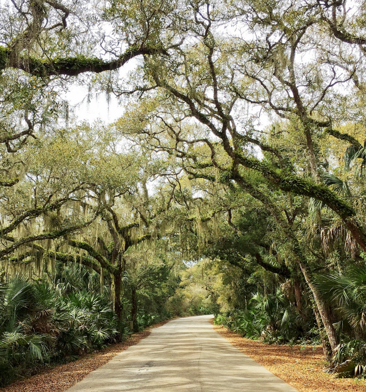 Photo of Anastasia State Park