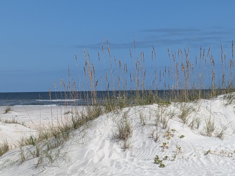 Anastasia State Park photo 3