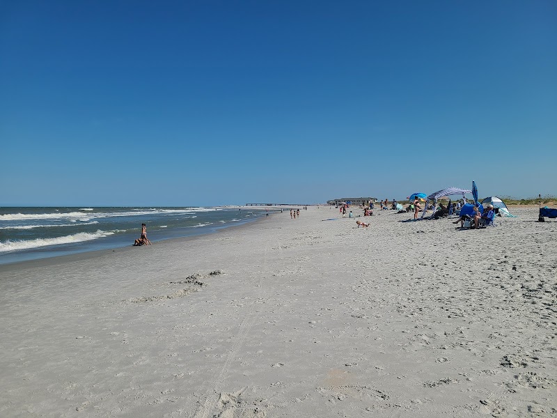 Anastasia State Park photo 4