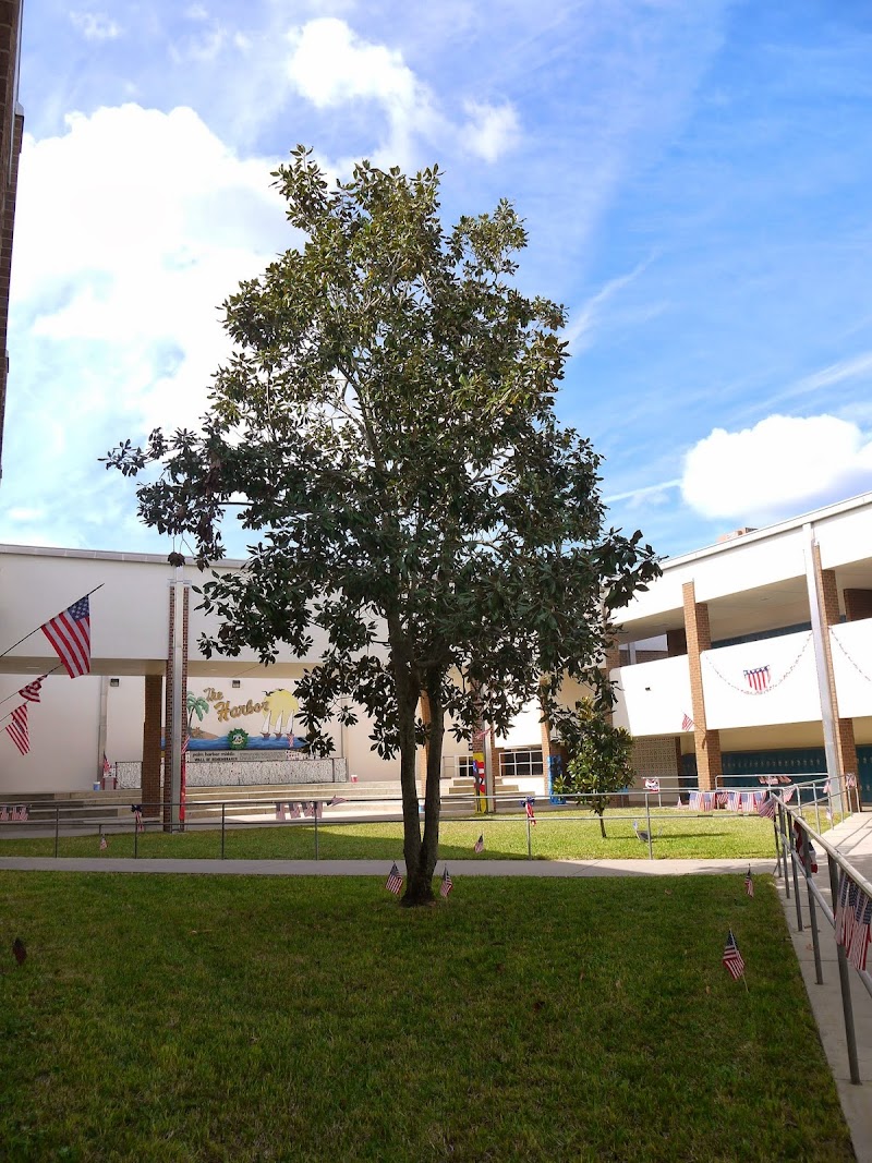Palm Harbor Middle School photo 5