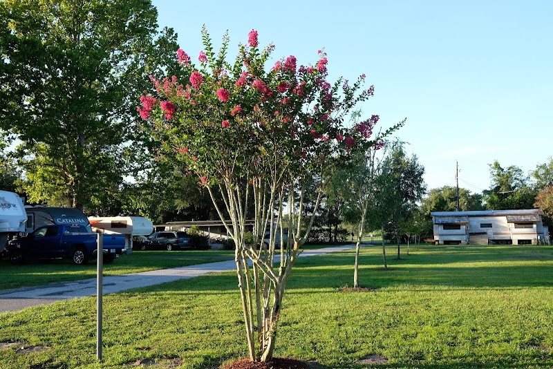 Sunny Skies RV Park photo 5