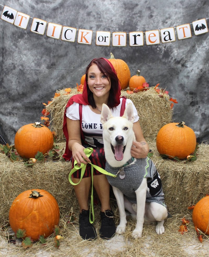 Brooksville Veterinary Clinic photo 2