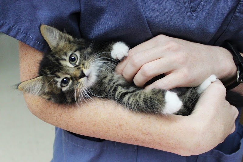 Brooksville Veterinary Clinic photo 4
