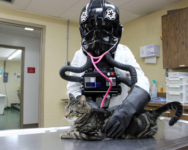 Brooksville Veterinary Clinic photo 3