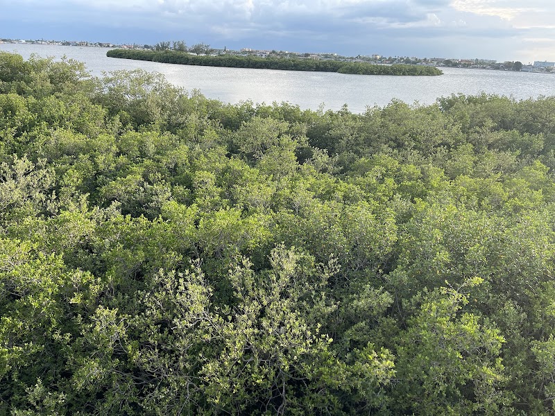 Observation Tower photo 5
