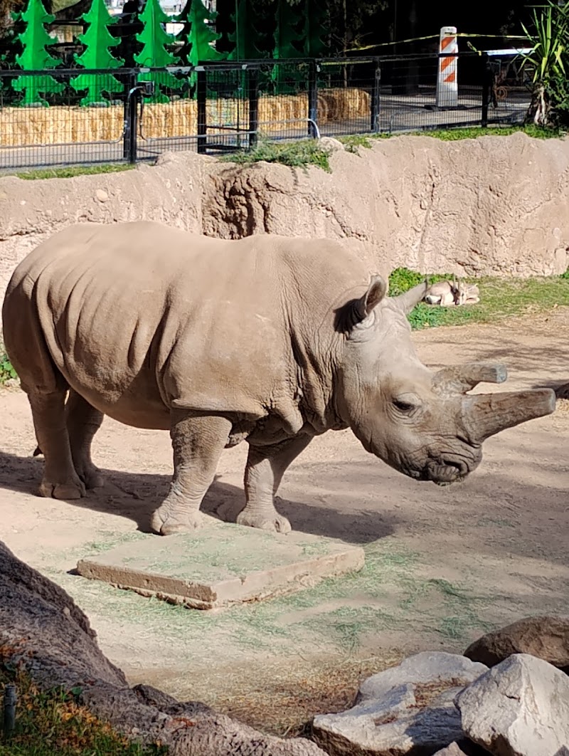 Photo of Rhino Habitat