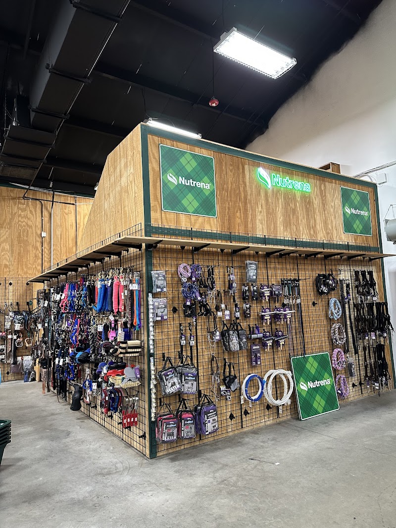 Photo of Plant City Feed