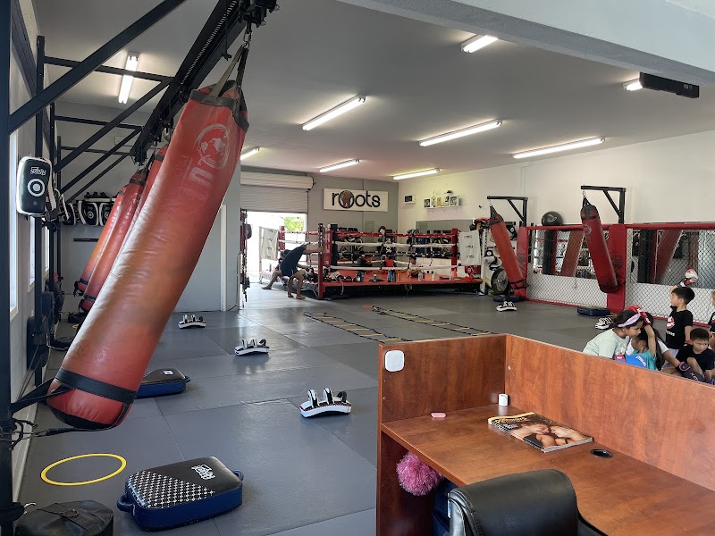 Roots Kickboxing BJJ photo 5