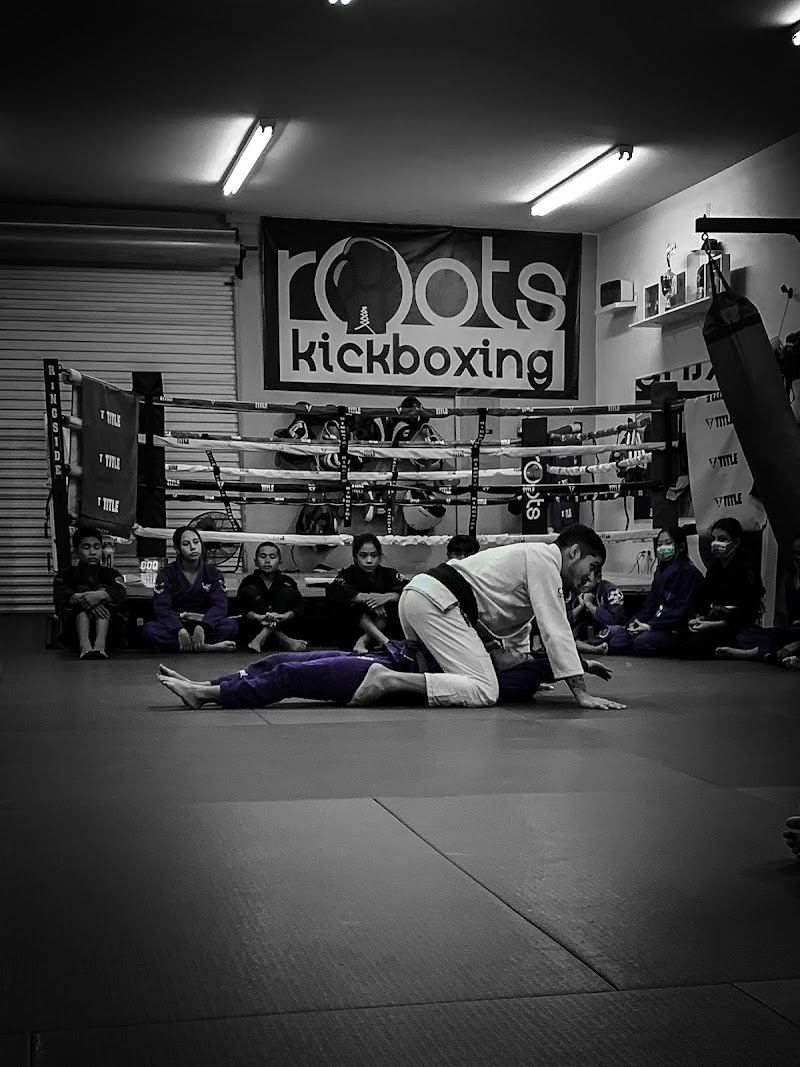 Roots Kickboxing BJJ photo 3