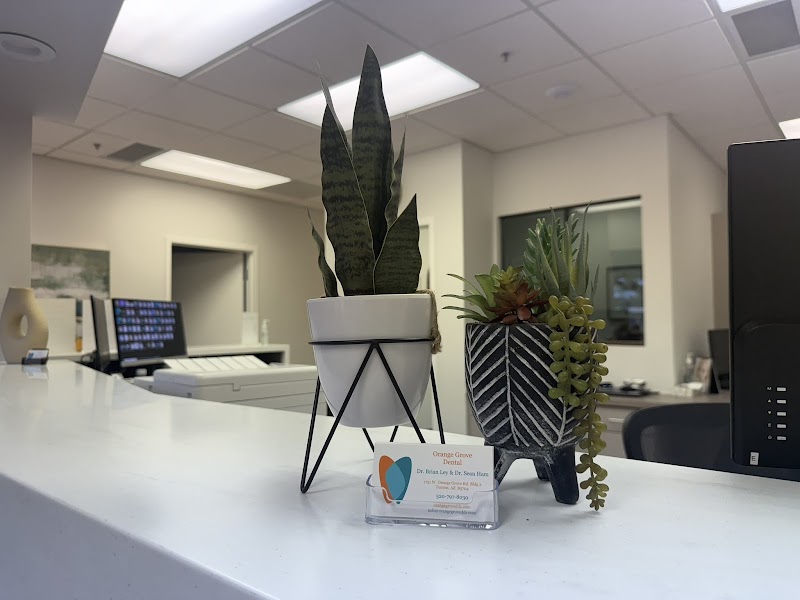 Orange Grove Dental photo 3