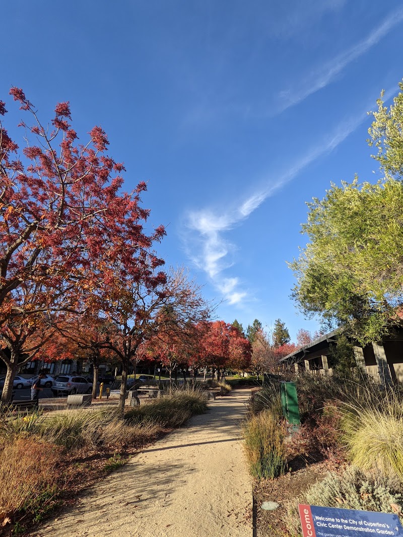 Cupertino Library photo 4