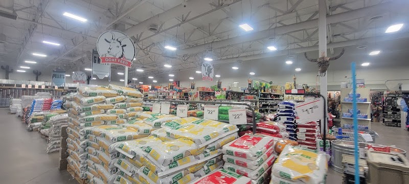 Ruggiero's Ace Hardware & Feed photo 3