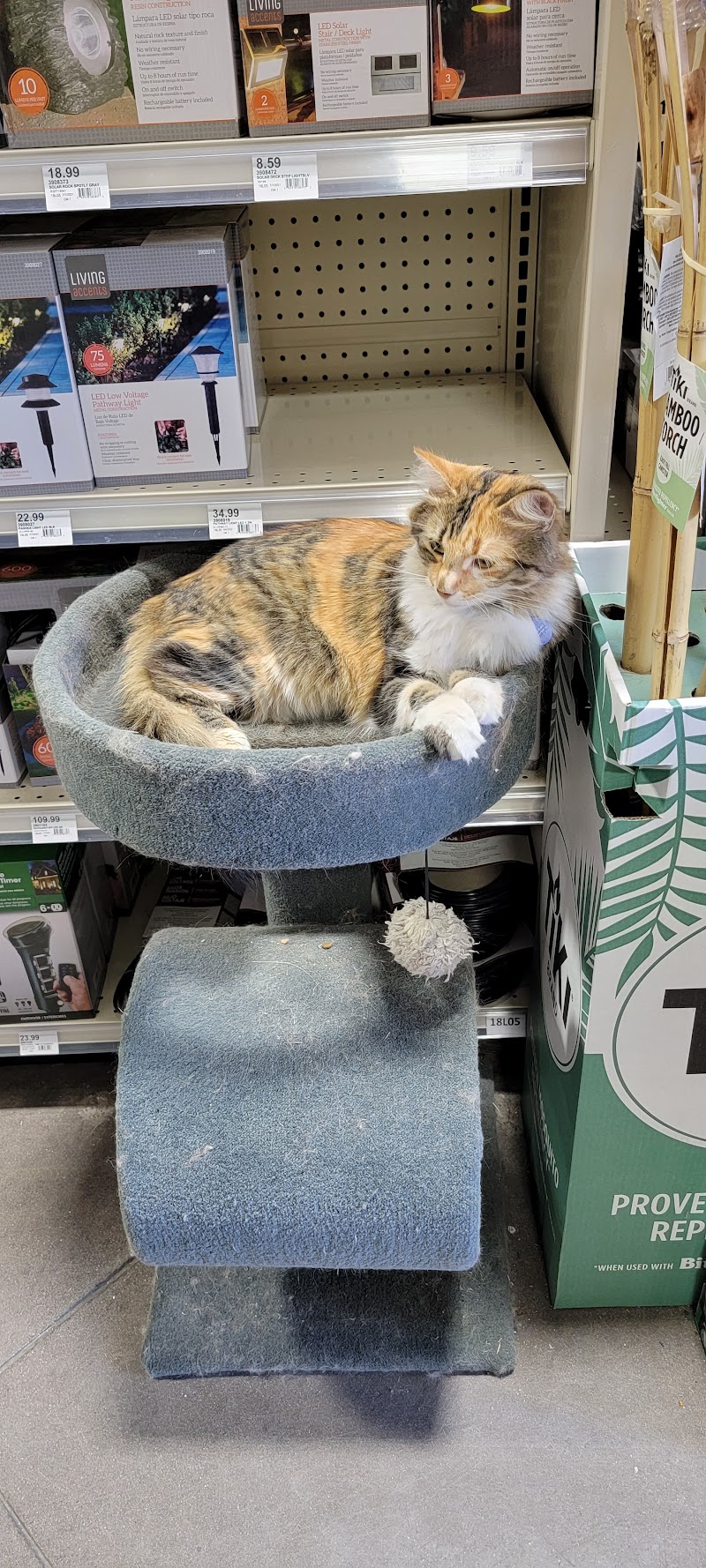 Ruggiero's Ace Hardware & Feed photo 5